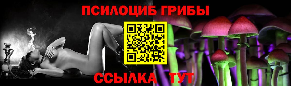 Сланцы  Псилоцибиновые грибы прущие грибы  Вход с VPN 