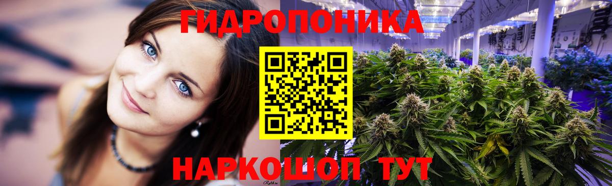 Бошки марихуана сатива Сланцы